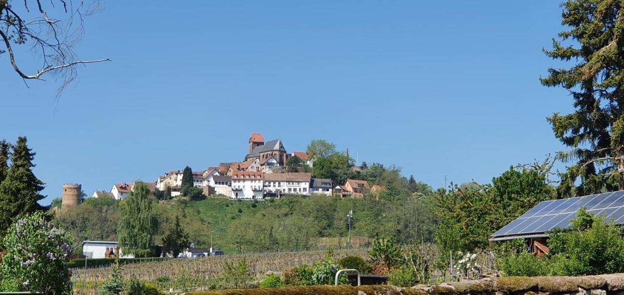 Landgasthaus "Zum Engel" Otel Neuleiningen Dış mekan fotoğraf