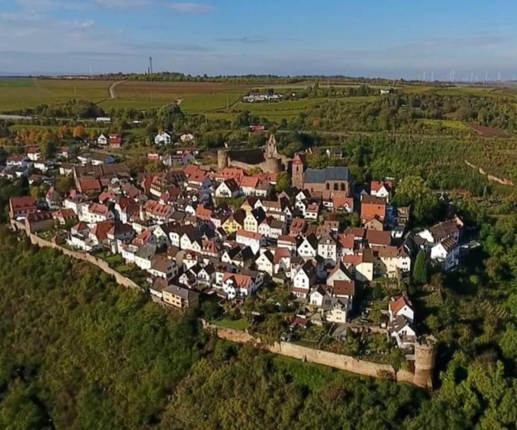 Landgasthaus "Zum Engel" Otel Neuleiningen Dış mekan fotoğraf